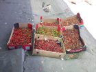 Asian Fruit and Veg