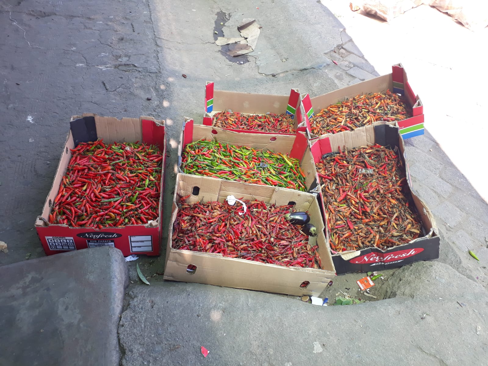 Asian Fruit and Veg