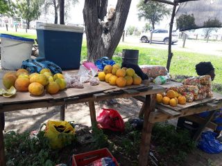 Fruit-and-snax