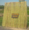 Thomas –  Cane fencing