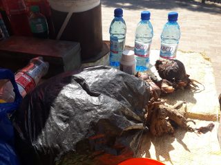 Madibeng-Natural-herbal-1