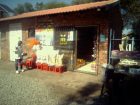 Mini Mart