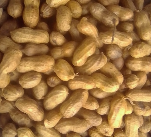 Peanut Galore