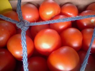 Sherazi-bulk-Produce-1