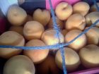 Sherazi Bulk Produce