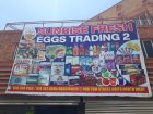 Sunrise Fresh eggs trading 2