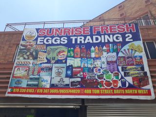 Sunrise-Fresh-eggs-trading-2-1