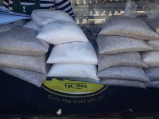 Thapi-Salt-Corner-1